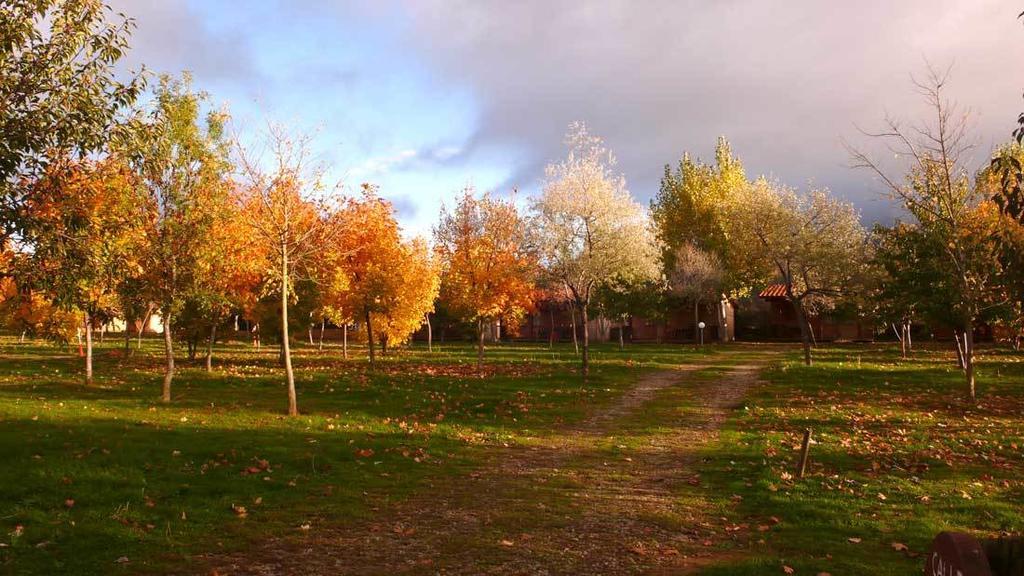 Camping Aín Jaca Exterior foto